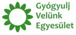 GYVE_logo